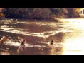 /album/animaux-sauvages/canard-et-canne-jpg/